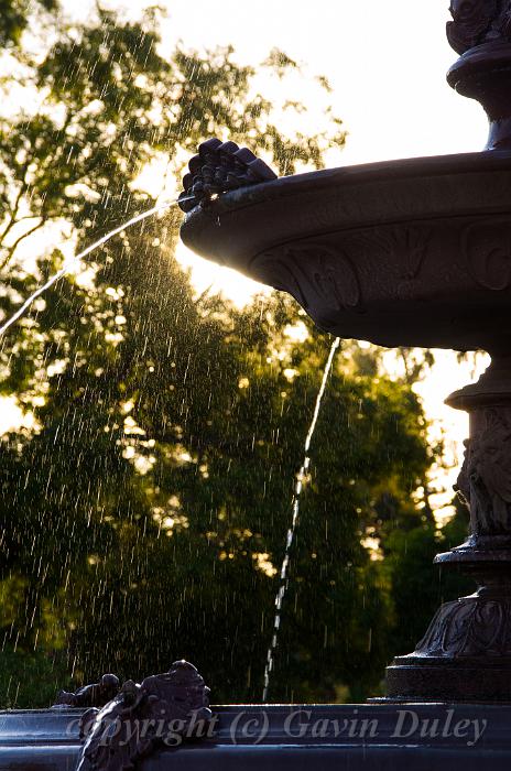 Fountain, evening light, Adelaide Botanic Gardens IMGP8855.jpg